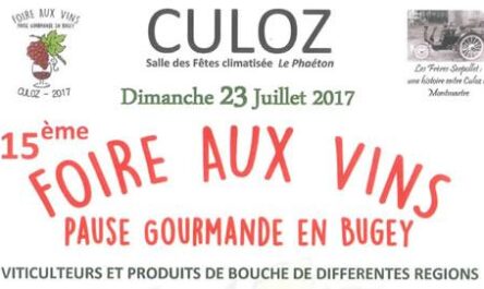 15 ème foire aux vins à Culoz