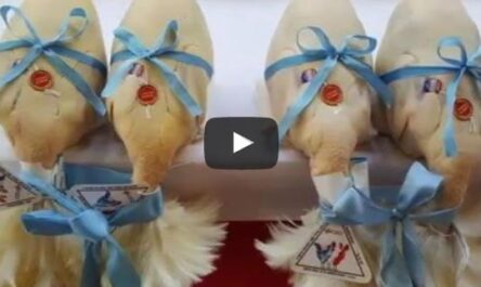 Bourg-en-Bresse : les Glorieuses