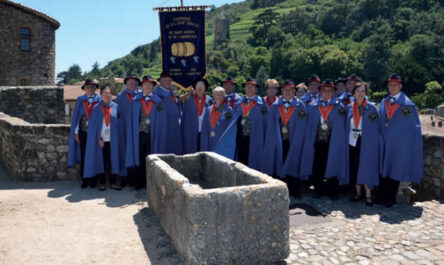 Jolie treille du St Joseph et de l&rsquo;Hermitage